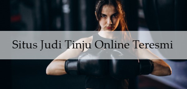 Situs Judi Tinju Online Teresmi